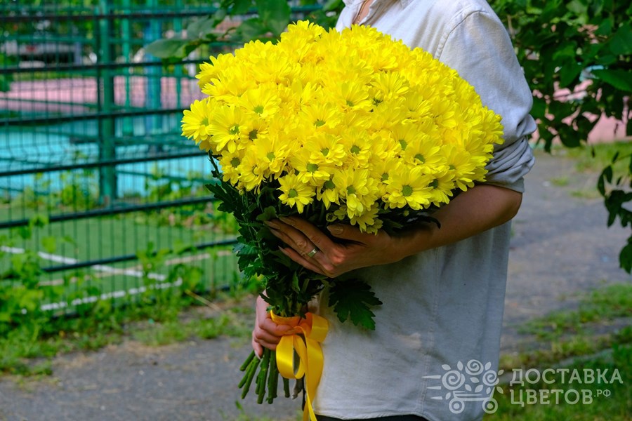 Букет Желтые кустовые хризантемы